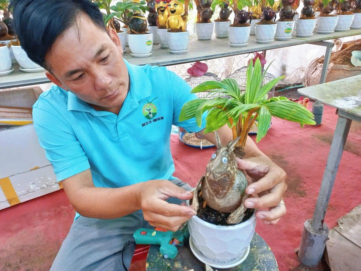 Theo anh Tùng, từ 100 trái dừa khô ban đầu, chỉ có thể chọn ra khoảng 25-35 trái để làm được tác phẩm đẹp.