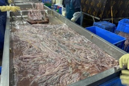 Hà Nội: Thu giữ hơn 60 tấn lòng lợn không rõ nguồn gốc tại kho đông lạnh