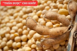 Tin tức sức khỏe - “Tái sinh” khớp gối với món ăn đại bổ giúp xương khớp cử động trơn tru