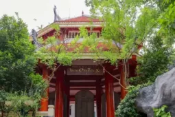 Bằng tiến sĩ giả và lỗ hổng quản lý