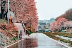 Loạt điểm đến khiến khách mê trong phim 'Tiếng yêu này anh dịch được không'