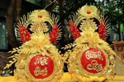 Dừa dát vàng, dừa bonsai linh vật ngựa 'cháy hàng' mùa Tết