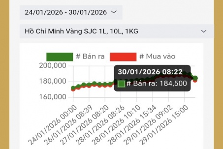 Người dùng Google đổ xô cập nhật "giá vàng 24K hôm nay"
