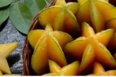 Quả khế: Loại quả dân dã nhưng công dụng chữa bệnh không ngờ