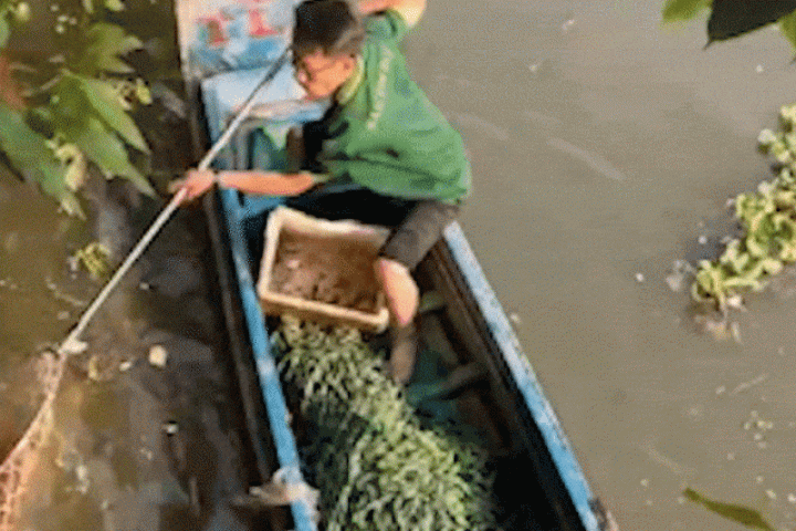 Nhân viên Thảo Cầm Viên Sài Gòn cứu con mang rơi xuống kênh