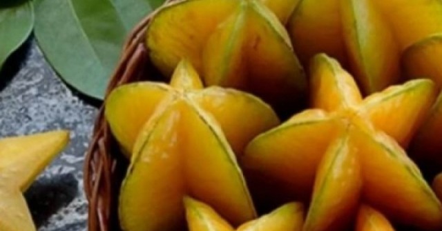 Quả khế: Loại quả dân dã nhưng công dụng chữa bệnh không ngờ