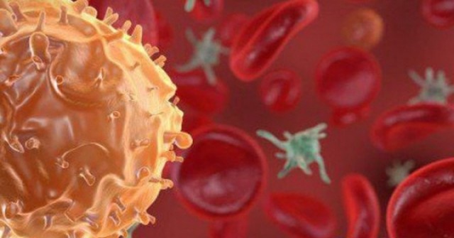 Thực phẩm làm tăng nguy cơ hình thành tế bào ung thư đại trực tràng, người Việt không nên lạm dụng