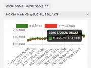 Người dùng Google đổ xô cập nhật "giá vàng 24K hôm nay"