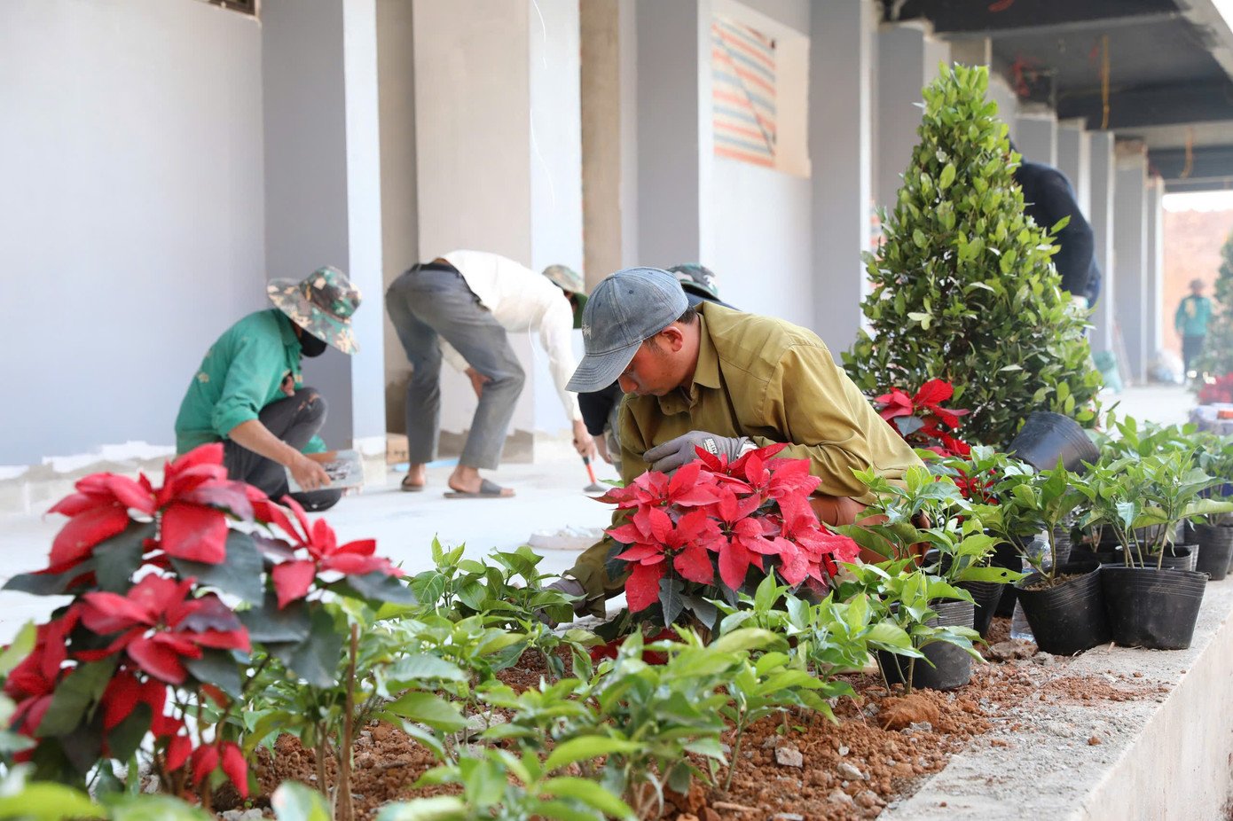 Cận cảnh trường học hiện đại bậc nhất vùng biên giới Điện Biên sắp khánh thành - 6