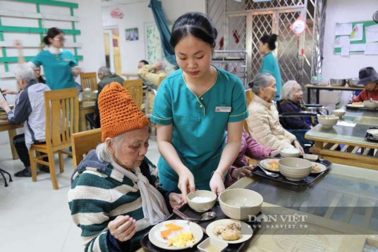 Điều dưỡng chăm sóc người cao tuổi ở viện dưỡng lão tại Hà Nội. Ảnh minh hoạ: Gia Khiêm