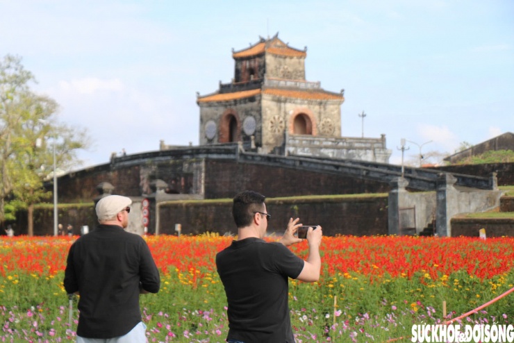 Choáng ngợp hình ảnh hàng vạn chậu hoa kết thành đóa sen khổng lồ ở Huế - 10
