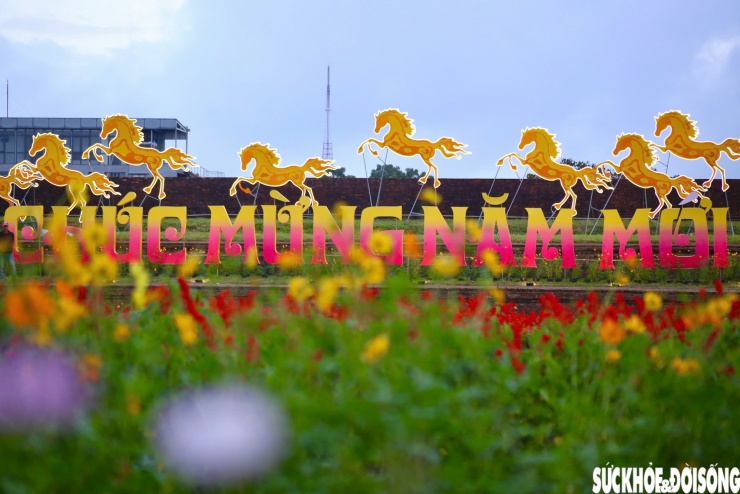 Choáng ngợp hình ảnh hàng vạn chậu hoa kết thành đóa sen khổng lồ ở Huế - 12