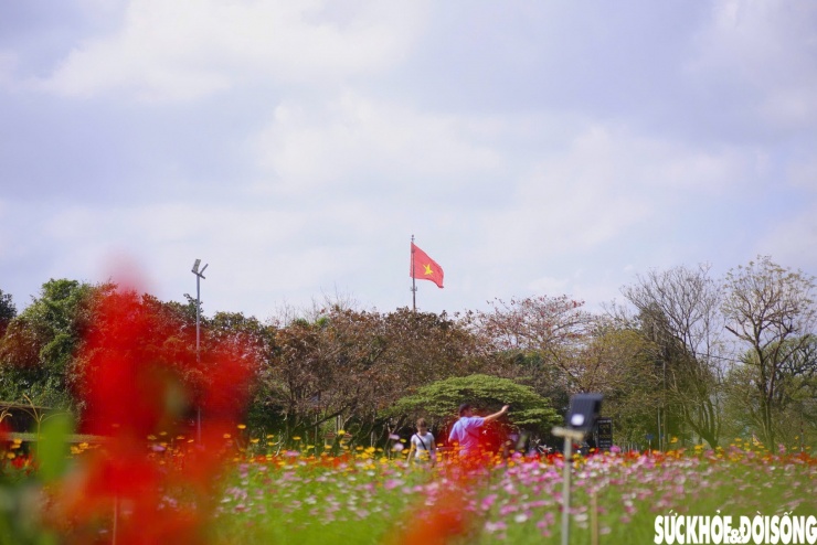 Mê mẩn với hàng vạn chậu hoa rực rỡ tạo hình đóa sen khổng lồ bên Kinh thành Huế.