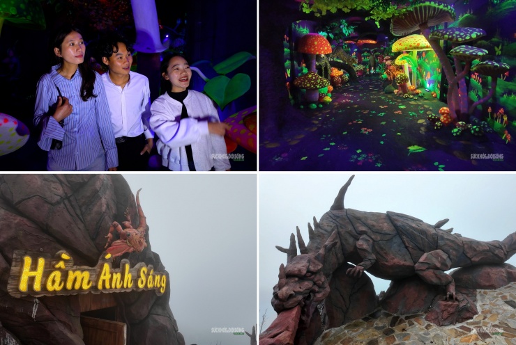 Cận cảnh một Safari huyền bí trên đỉnh Ô Quy Hồ - 1