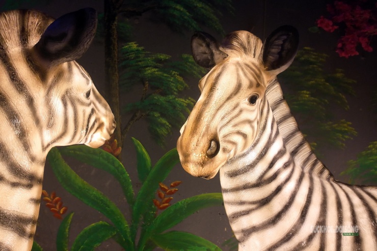 Cận cảnh một Safari huyền bí trên đỉnh Ô Quy Hồ - 3