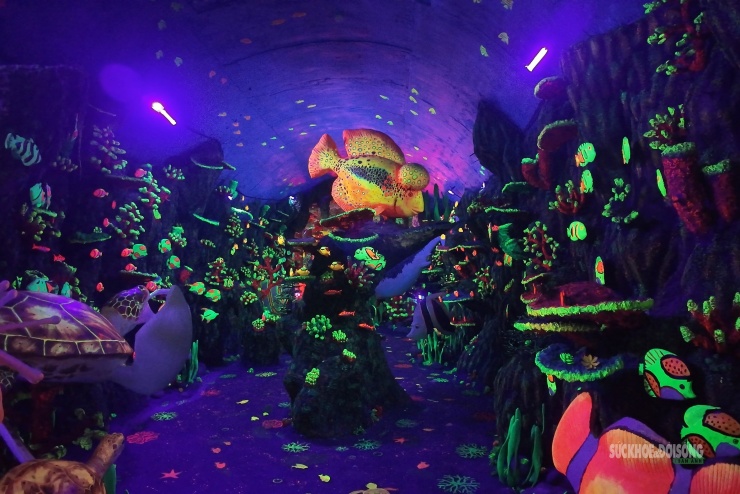 Cận cảnh một Safari huyền bí trên đỉnh Ô Quy Hồ - 5