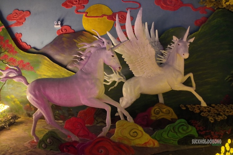 Cận cảnh một Safari huyền bí trên đỉnh Ô Quy Hồ - 4