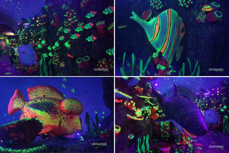 Cận cảnh một Safari huyền bí trên đỉnh Ô Quy Hồ - 6