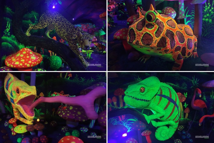 Cận cảnh một Safari huyền bí trên đỉnh Ô Quy Hồ - 9