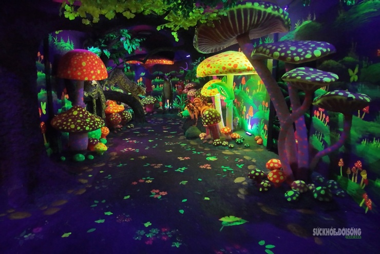 Cận cảnh một Safari huyền bí trên đỉnh Ô Quy Hồ - 8