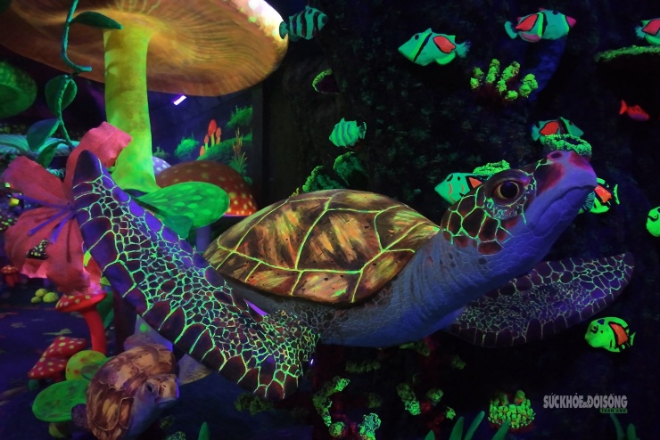 Cận cảnh một Safari huyền bí trên đỉnh Ô Quy Hồ - 10