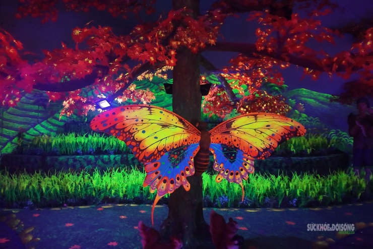 Cận cảnh một Safari huyền bí trên đỉnh Ô Quy Hồ - 12