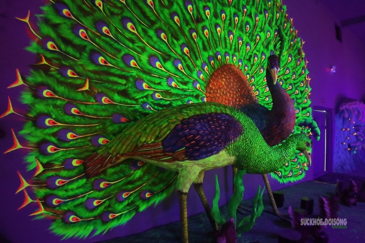 Cận cảnh một Safari huyền bí trên đỉnh Ô Quy Hồ - 14