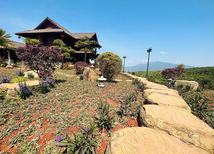 Diễn viên kể sau những lần lên Lâm Đồng làm phim, du lịch anh mê mẩn phong cảnh đẹp, thời tiết mát mẻ, trong lành của vùng cao nguyên nên quyết định đầu tư xây nhà vườn để sau này làm nơi dưỡng già, hưởng thú điền viên bên gia đình.