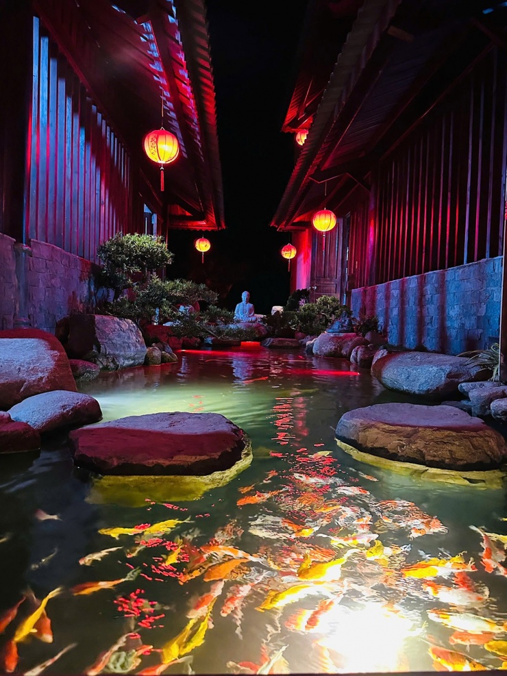 Hồ cá Koi lung linh với ánh đèn lồng, soi rõ đàn cá đủ màu sắc khi trời tối.