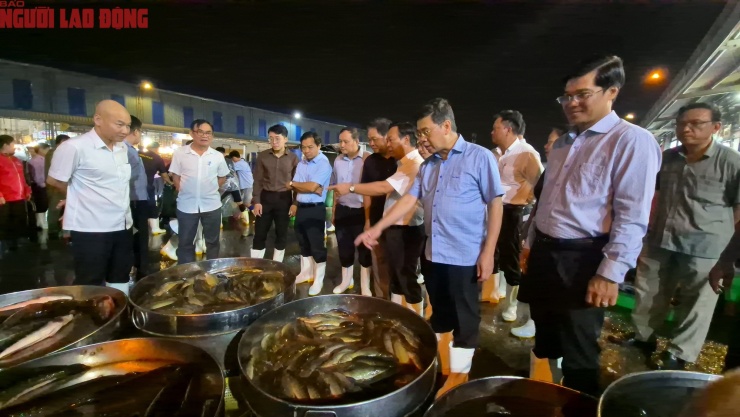 Phó Chủ tịch UBND TP HCM Nguyễn Văn Dũng (áo xanh) khảo sát việc kinh doanh cá lóc