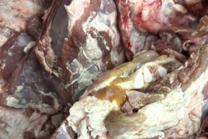 Vụ sườn heo đông lạnh "có màu lạ" đưa vào trường học: Chấm dứt hợp tác với đơn vị cung cấp thực phẩm