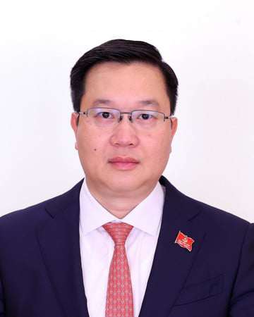 Ông Trần Đăng Quỳnh.