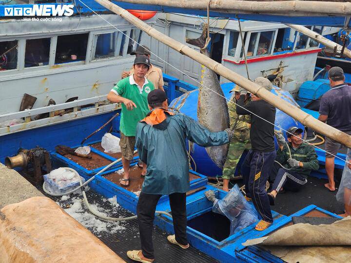 Ngư dân Trần Nghĩa Thành, thuyền trưởng tàu PY 96509 TS, cho biết các tàu cá đều tổ chức đánh bắt theo tổ đội, vừa đảm bảo an toàn, vừa nâng cao hiệu quả sản xuất.