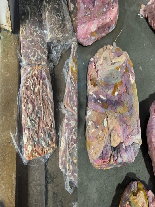 Lòng lợn được cấp đông, đóng bánh với khối lượng lớn. Ảnh: Công an TP Hà Nội.