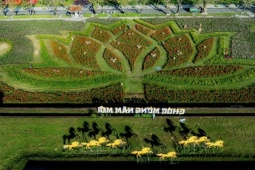 Choáng ngợp hình ảnh hàng vạn chậu hoa kết thành đóa sen khổng lồ ở Huế