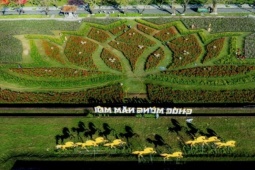 Choáng ngợp hình ảnh hàng vạn chậu hoa kết thành đóa sen khổng lồ ở Huế