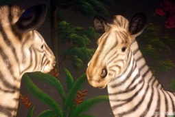 Cận cảnh một Safari huyền bí trên đỉnh Ô Quy Hồ