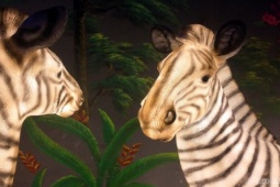 Cận cảnh một Safari huyền bí trên đỉnh Ô Quy Hồ