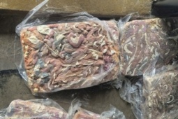 Điều gì xảy ra với cơ thể nếu ăn lòng heo ôi thiu?