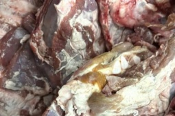 Vụ sườn heo đông lạnh "có màu lạ" đưa vào trường học: Chấm dứt hợp tác với đơn vị cung cấp thực phẩm