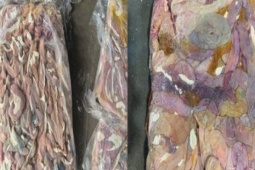 Phát hiện cơ sở chế biến thực phẩm bẩn, thu giữ hơn 60 tấn lòng lợn đông lạnh bốc mùi