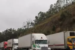 Hơn 1.300 phương tiện chở nông sản, thực phẩm ách tắc tại cửa khẩu, Hải quan hỏa tốc yêu cầu tháo gỡ