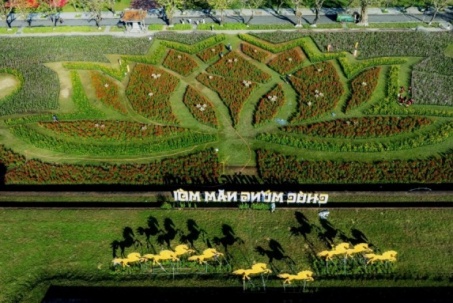 Choáng ngợp hình ảnh hàng vạn chậu hoa kết thành đóa sen khổng lồ ở Huế