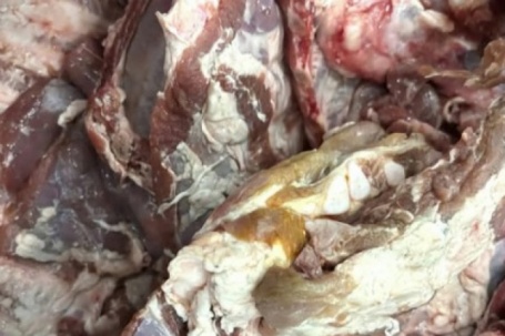 Vụ sườn heo đông lạnh "có màu lạ" đưa vào trường học: Chấm dứt hợp tác với đơn vị cung cấp thực phẩm