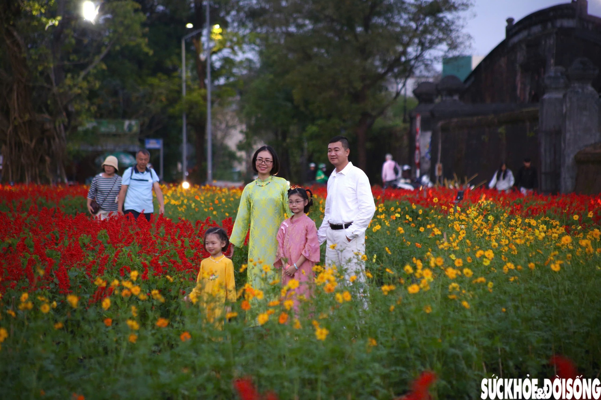 Choáng ngợp hình ảnh hàng vạn chậu hoa kết thành đóa sen khổng lồ ở Huế - 9