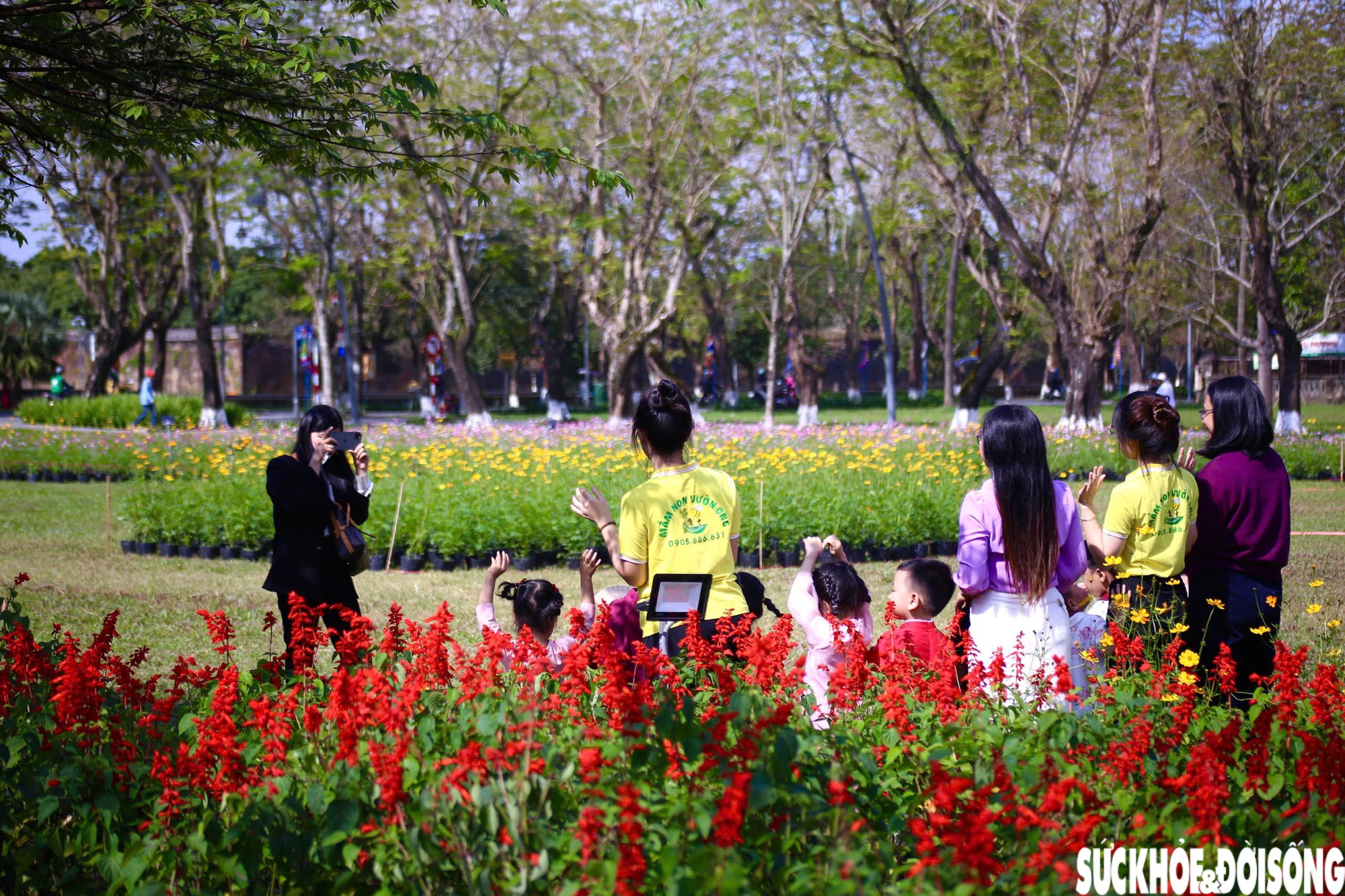 Choáng ngợp hình ảnh hàng vạn chậu hoa kết thành đóa sen khổng lồ ở Huế - 7