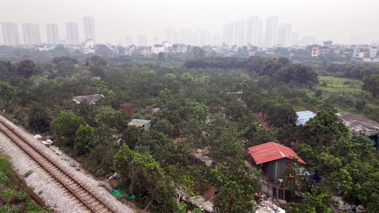 Những ngày giáp Tết Nguyên đán, nhiều vườn bưởi Diễn tại phường Phúc Diễn đã hoàn tất thu hoạch từ sớm. Chỉ còn lại một số ít khu vườn giữ nguyên những cây bưởi đẹp, chăm sóc kỹ lưỡng để chờ thu hoạch đúng dịp Tết.