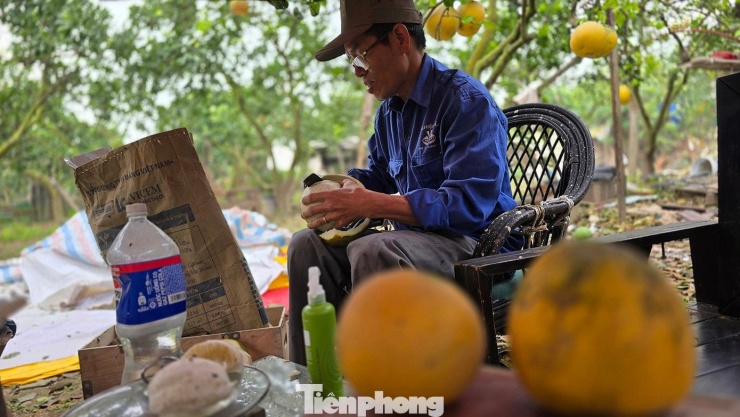 'Đột nhập' thủ phủ bưởi Diễn nức tiếng Hà Nội - 11