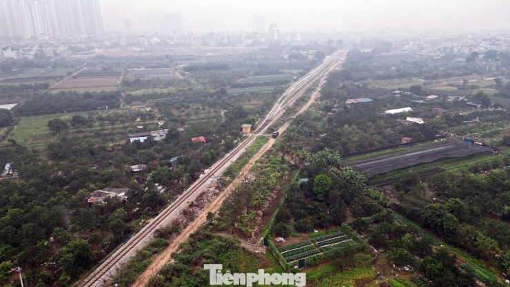 Nhìn từ trên cao, toàn cảnh vườn bưởi Diễn hiện lên với gam màu trầm, báo hiệu một mùa vụ sắp khép lại, trong khi không khí Tết đang đến gần từng ngày.