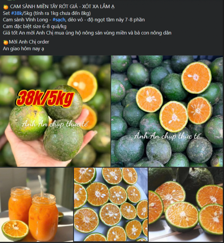 Nhiều năm trở lại đây, giá cam sành xuống rất thấp do nguồn cung trong nước nhiều.